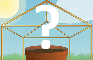 Greenhouse Gardening