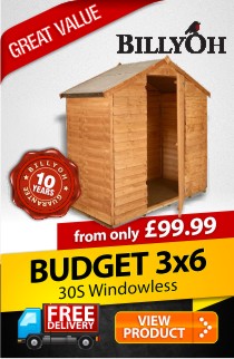3 x 6 BillyOh 30S Windowless Economy Overlap Apex