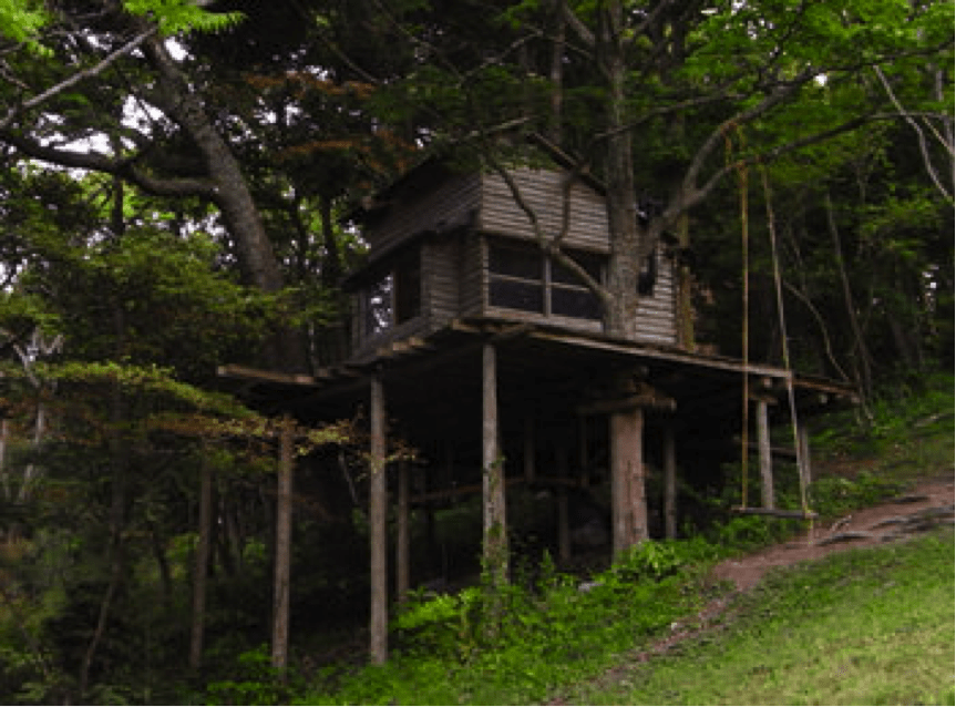 Gankoyama Top Tree Houses – The world’s 15 Most Amazing Tree Dwellings