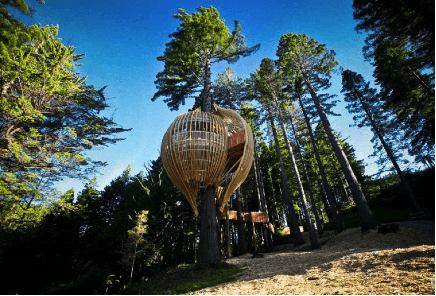 Redwoods Top Tree Houses – The world’s 15 Most Amazing Tree Dwellings