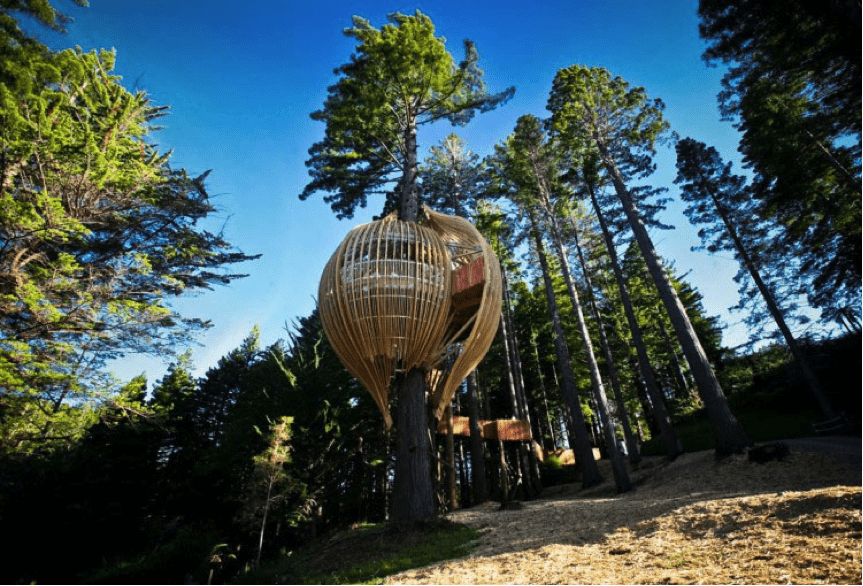 Top Tree Houses – The world’s 15 Most Amazing Tree Dwellings Redwoods Top Tree Houses – The world’s 15 Most Amazing Tree Dwellings