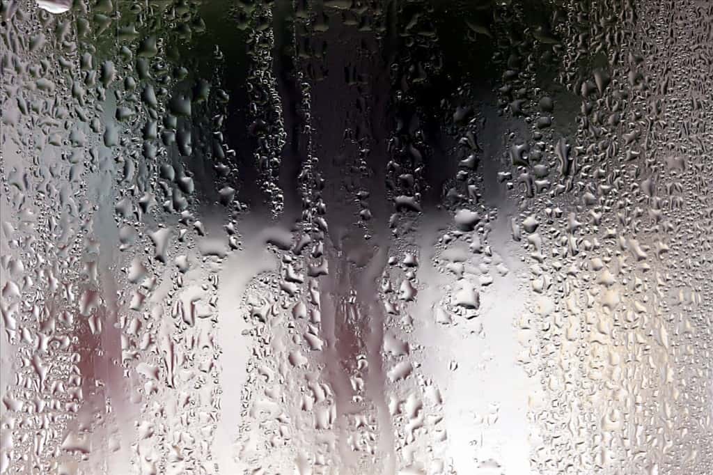 flickr 3105495758 original Tackling Condensation In Your Garden Shed