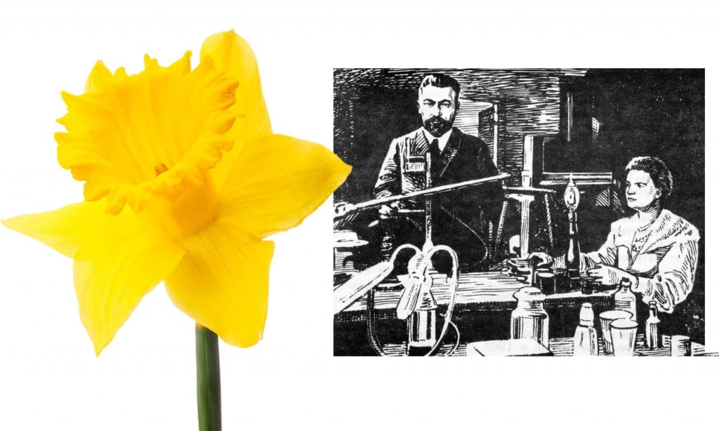 Great things invented in a Garden Shed Marie Curie Garden Shed