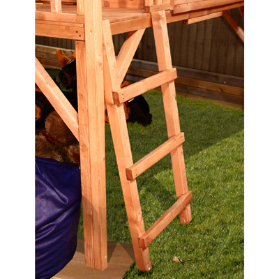 Platform and Ladder
