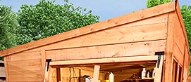 Pent Roof Design