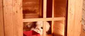 Safe Styrene Glazed Windows