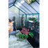 Spacious, well designed greenhouse