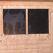 FRONT WINDOWS