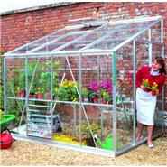 Eden Greenhouses - Silver Aluminium Lean to 6 x 8 Metal Greenhouse