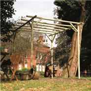 Rustic Rose Pergola