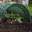 Easy Net Tunnel