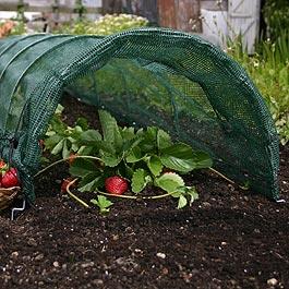 Easy Net Tunnel
