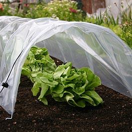 Easy Poly Tunnel