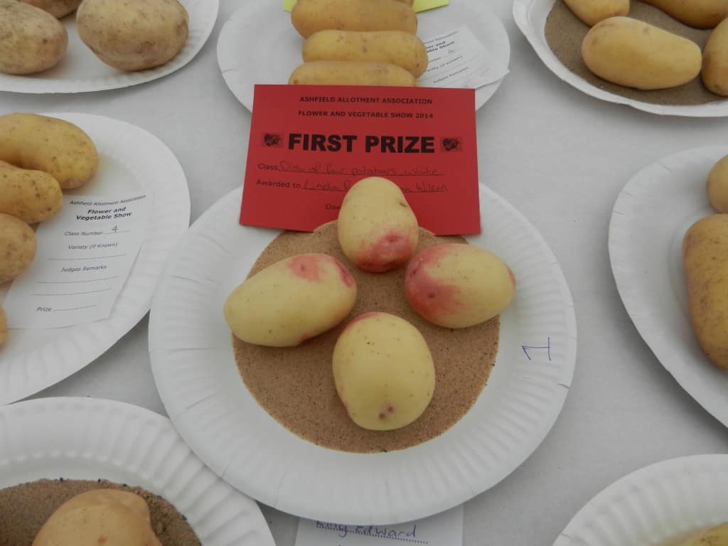 Award winning potatoes