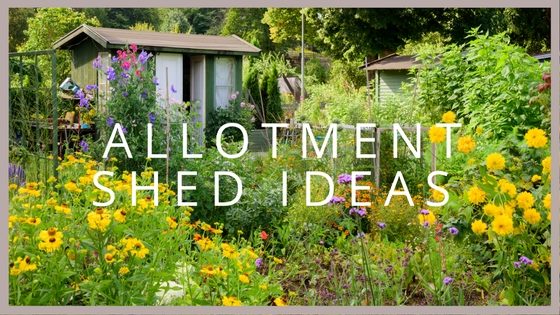 Allotment Shed Ideas | Blog - Garden Buildings Direct