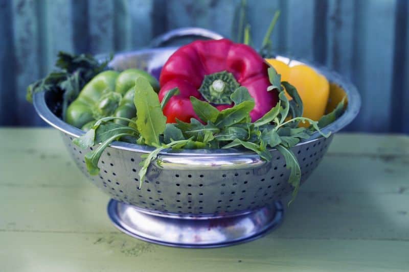 alternatives-to-plant-pots-1-colanders