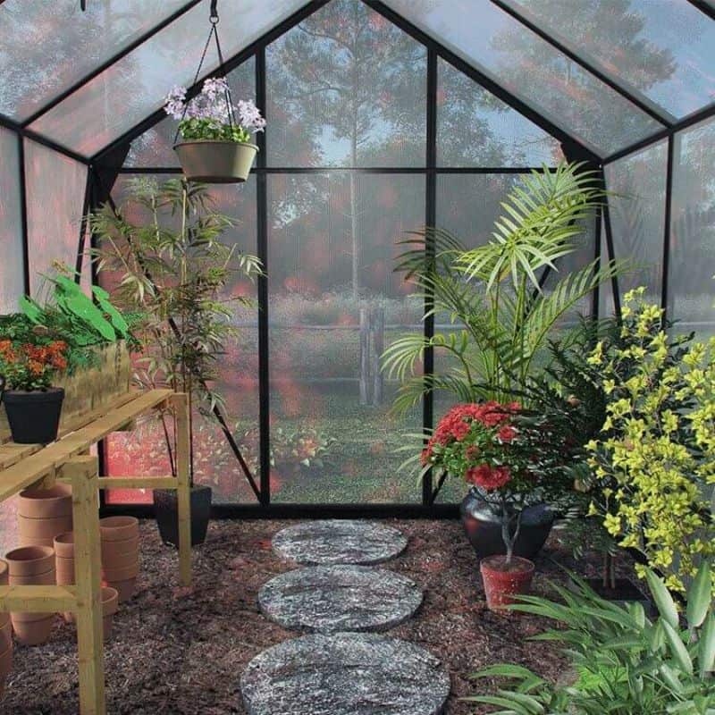 greenhouses allow you to grow whatever you want