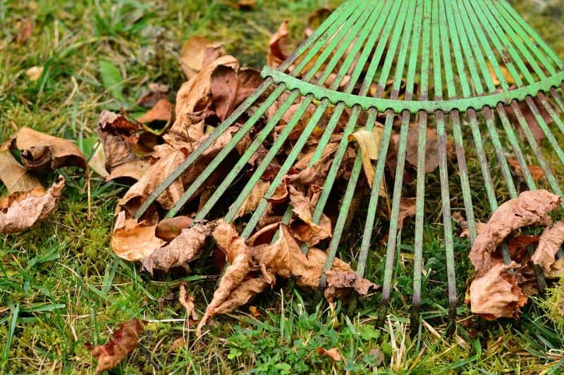checklist-guide-and-cleaning-tips-to-garden-spring-cleaning-3-spring-raking-pixabay