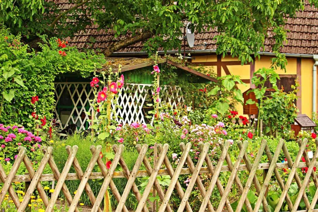 cottage-style-garden-4-choice-of-plants-pixabay