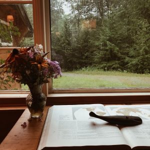 Shed interior looking at garden through a window with a table with an open book, pipe, and small vase of flowers