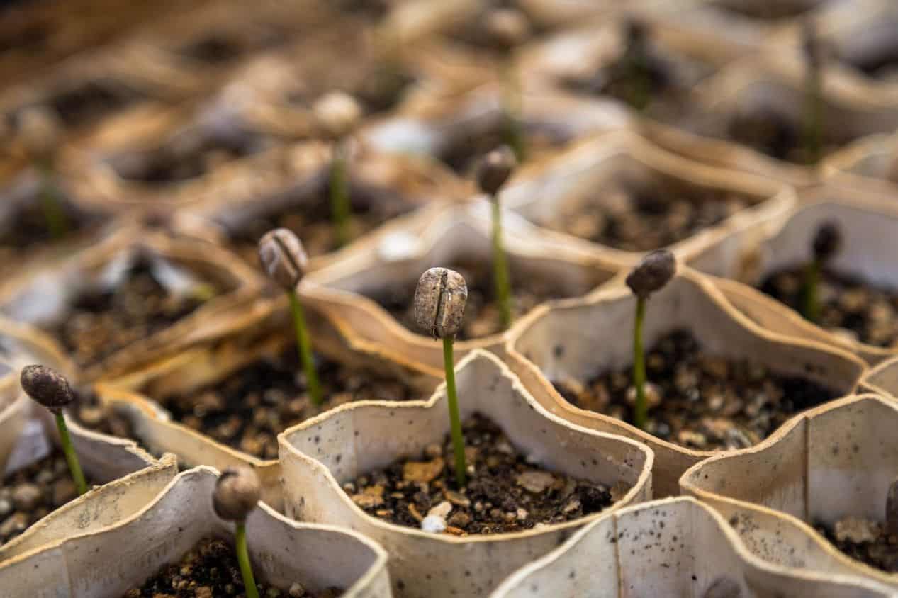 diy-seed-starting-mix-4-mixing-process
