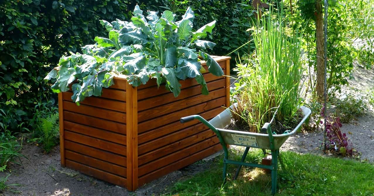 dog-friendly-garden-tricks-4-utilize-raised-beds