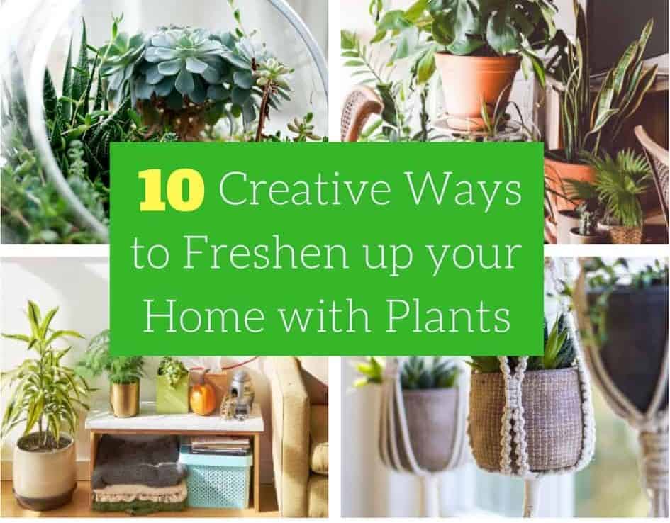 10 Creative Ways to Freshen up your Home with Plants Blog Garden