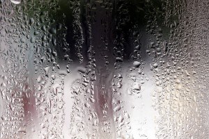 prevent-garden-shed-condensation