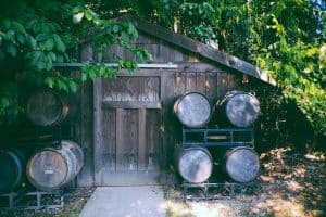 shed near fence and trees