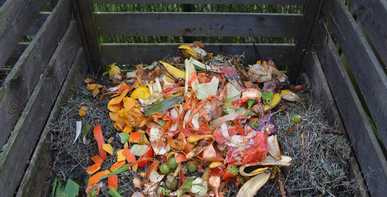 potential-garden-hazards-for-dogs-7-compost