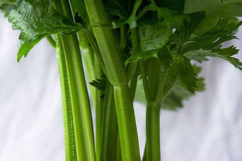 seven-plants-difficult-grow-4-celery