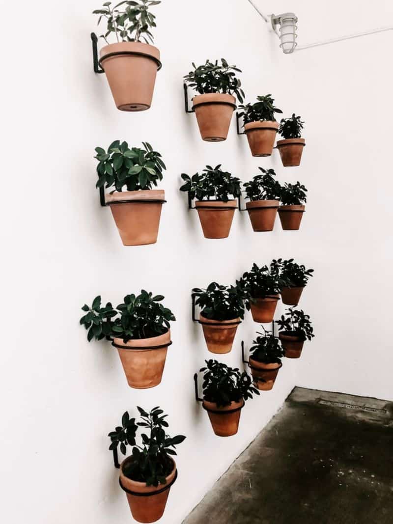 small-garden-ideas-budget-2-use-the-walls