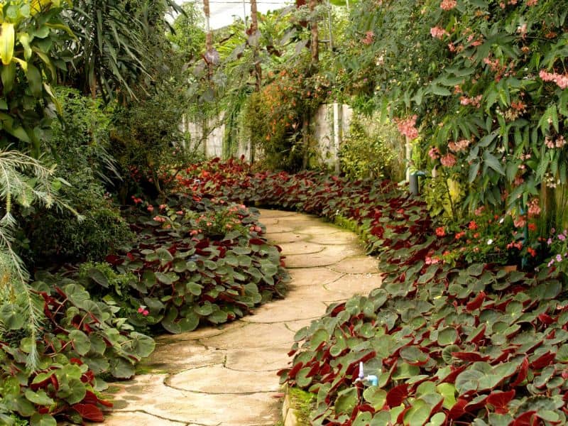 small-garden-ideas-make-your-garden-appear-bigger-3-secret-garden