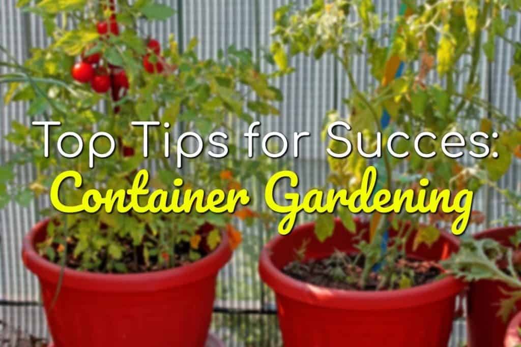 17 Gardening Apps You Need To Now Blog Garden Buildings Container Gardening Top Tips For Success