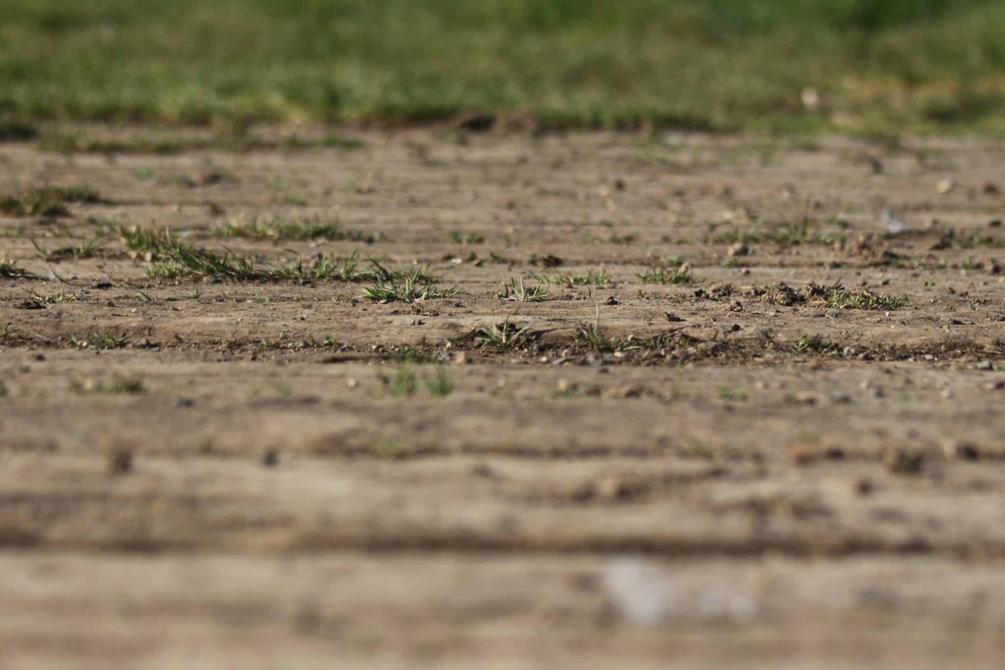 Flat level ground with grass in the background