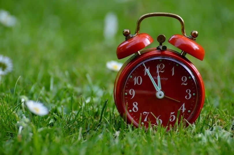 tips-how-to-start-a-garden-1-time-commitment