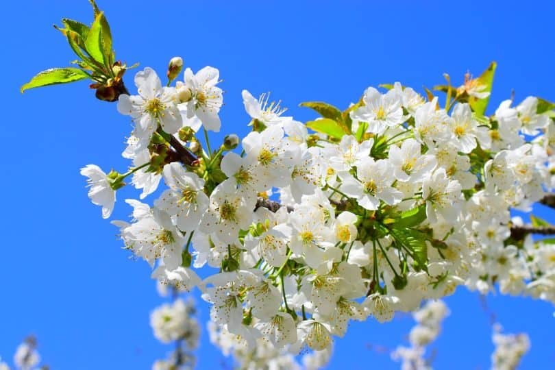 tips-how-to-start-a-garden-2-know-your-zone