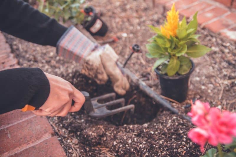 transform-garden-on-a-budget-1-start-small