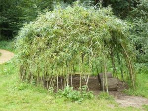 grow a child's playhouse