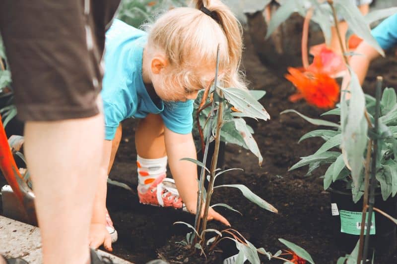 pourquoi-le-jardinage-est-bon-pour-vous-2-avantages-du-jardinage