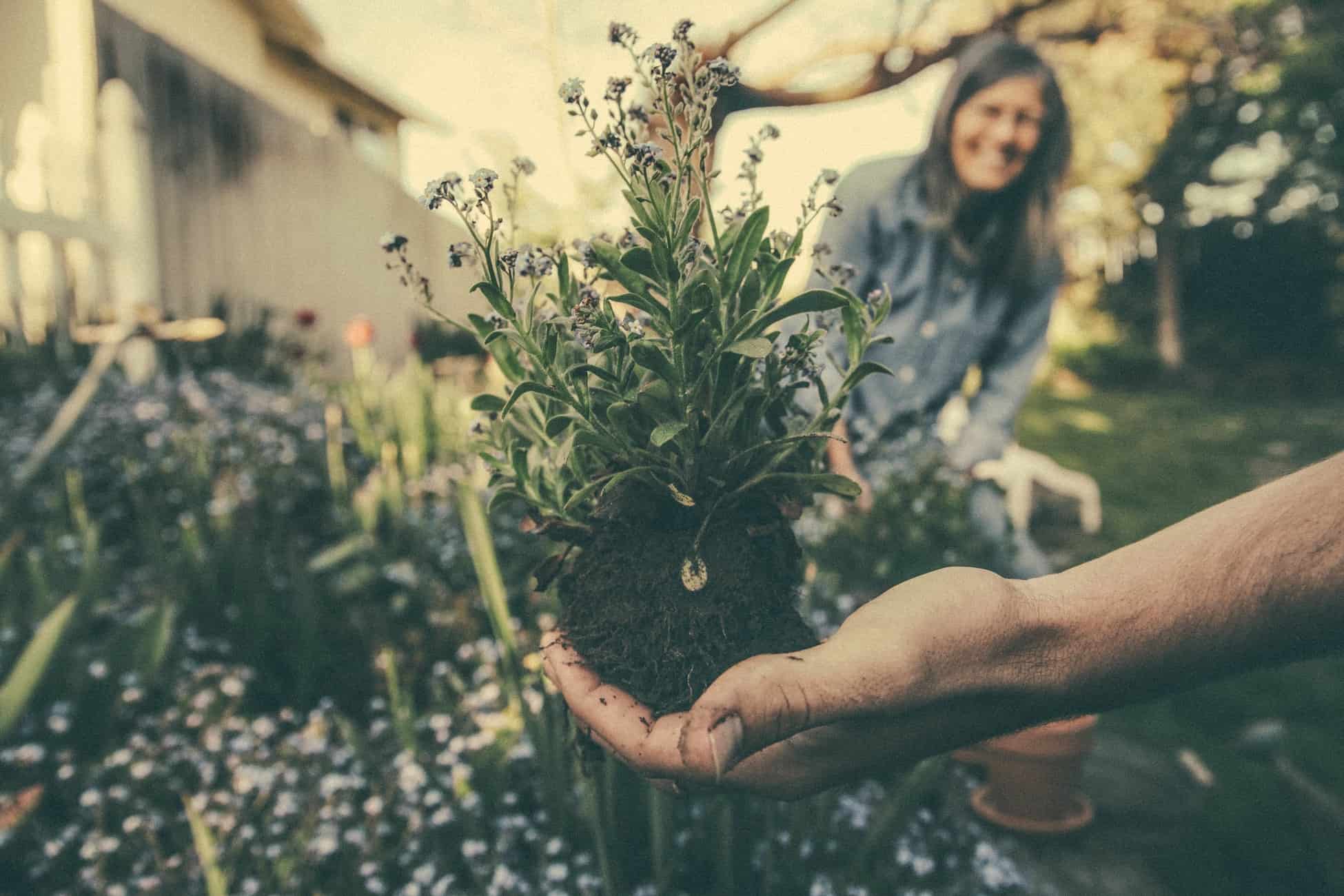 12 Reasons Why Gardening Is Good For You Blog Garden Buildings Direct