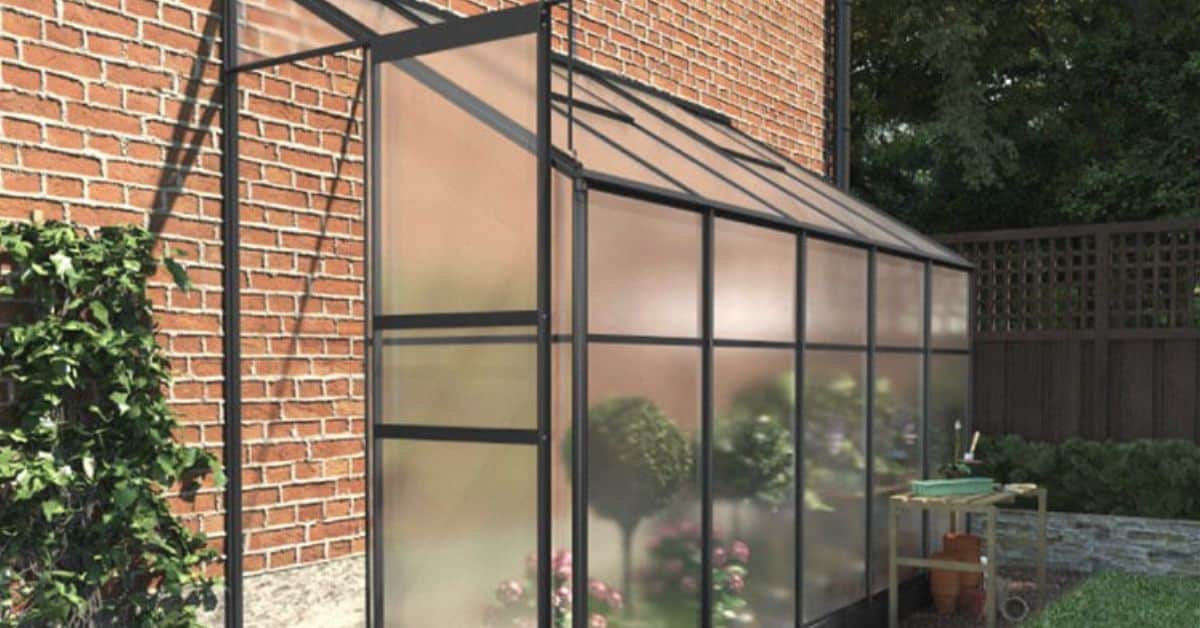 Winter Greenhouse 9 Easy Vegetables to Grow in Your Greenhouse